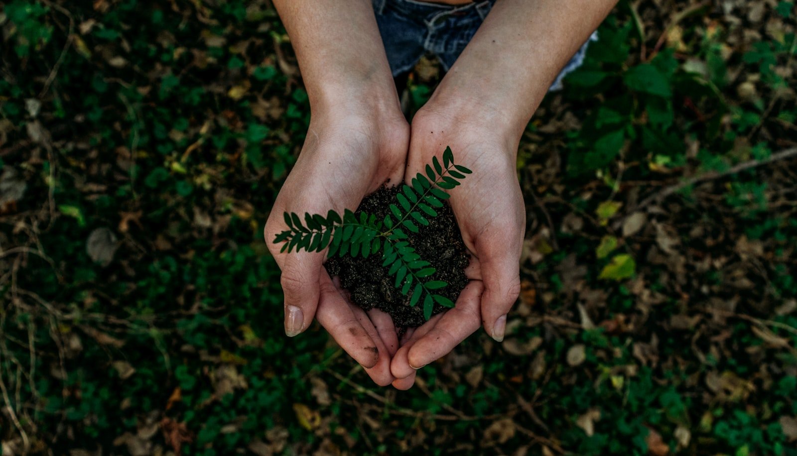 Better Cotton Partner and Sustainable Textiles